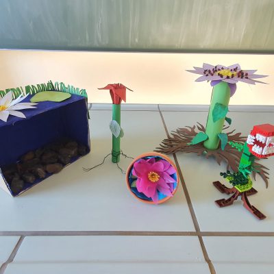 Biologie-Impression-1