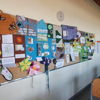 Biologie-Impression-2