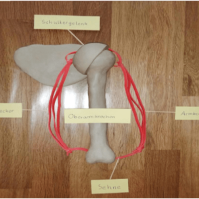 Biologie-Impression-3