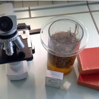 Biologie-Impression-4