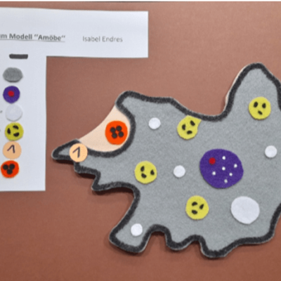 Biologie-Impression-5